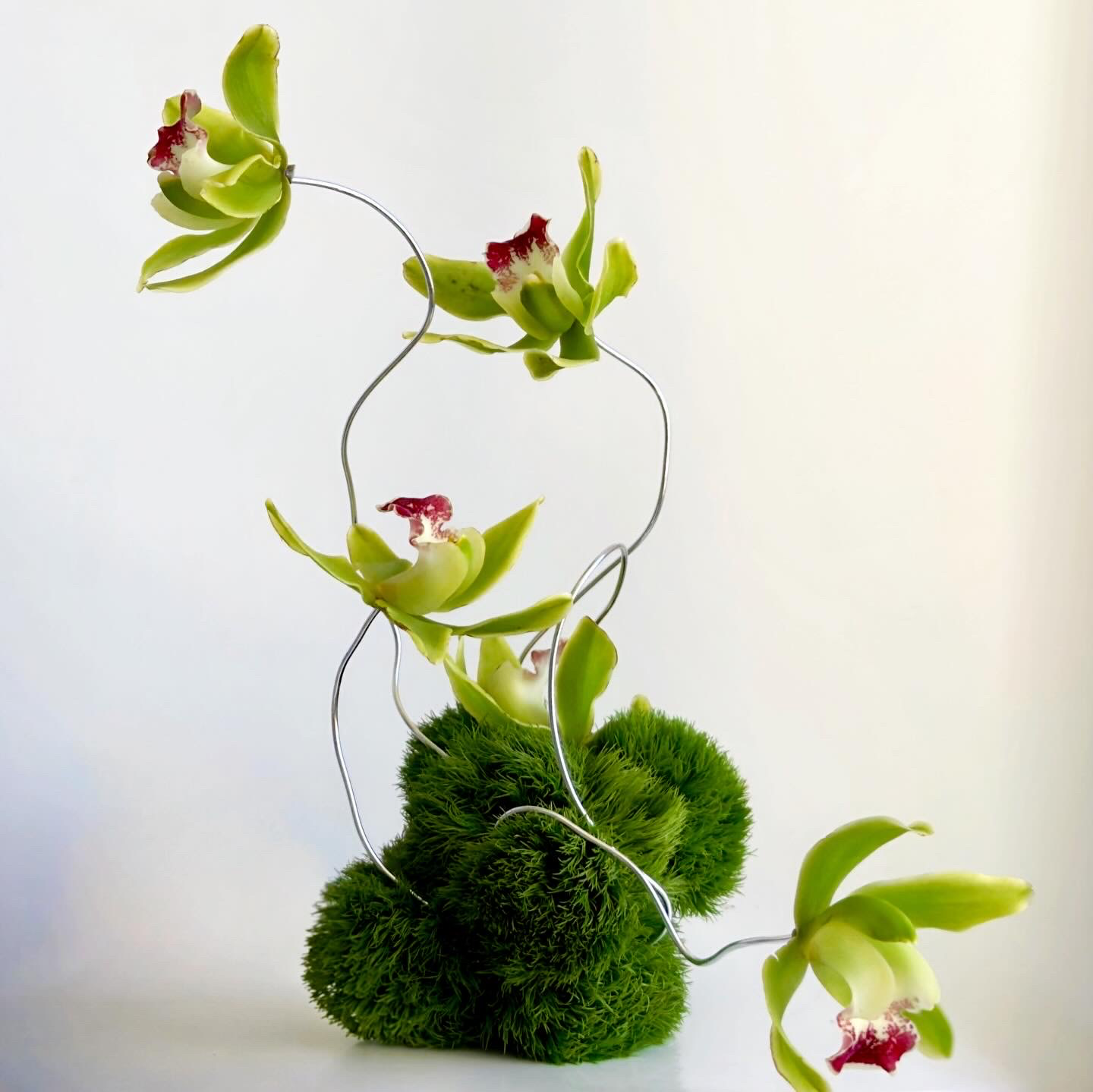 964841C2-2265-47C7-A7A4-1B3A4B91F4BA