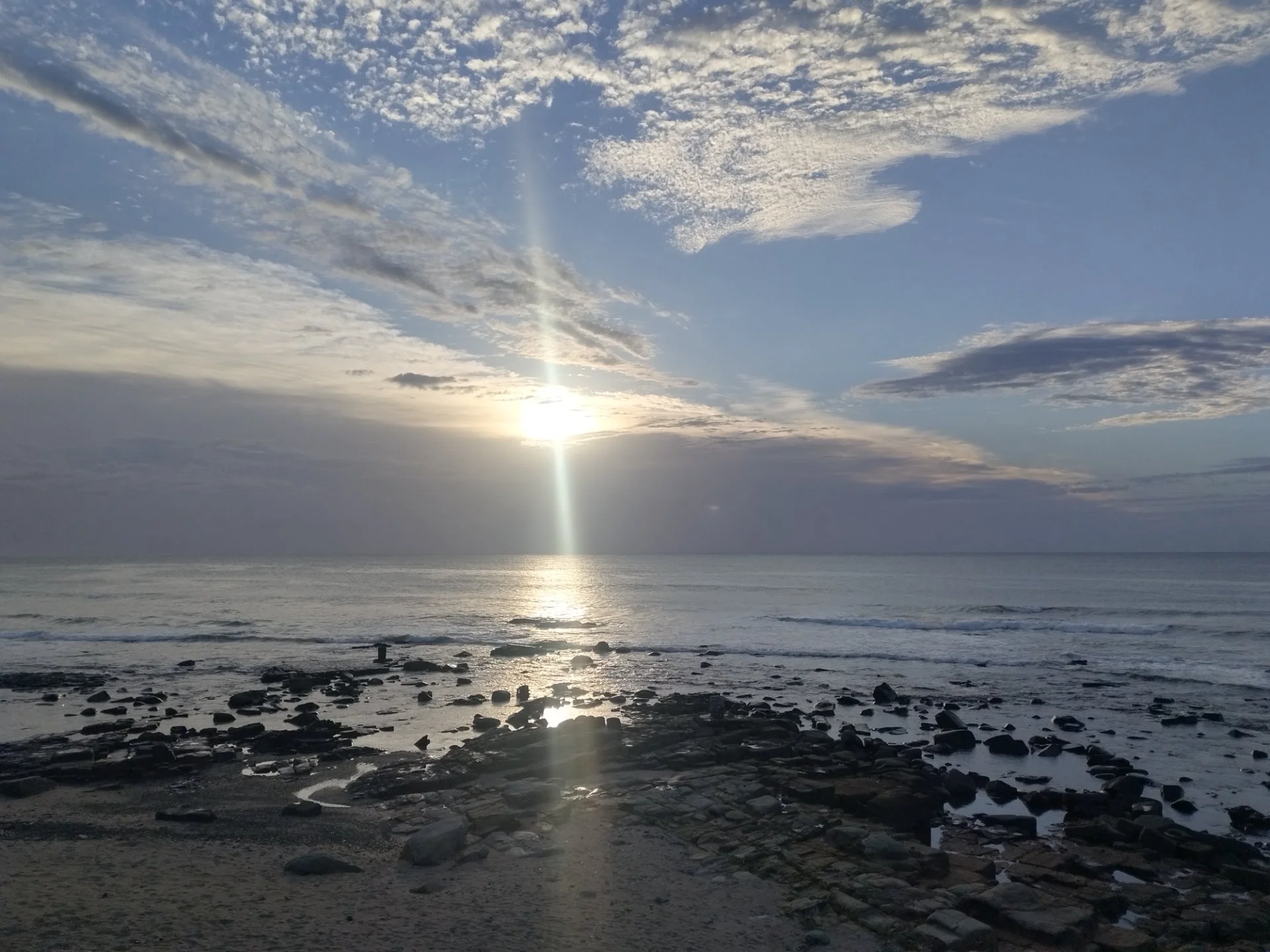 Shiba Design  profile photo