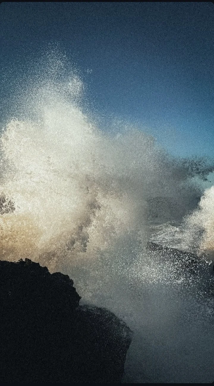 inbound8712221487738462559