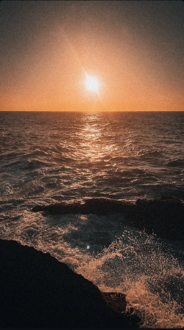 inbound6275348039235112544