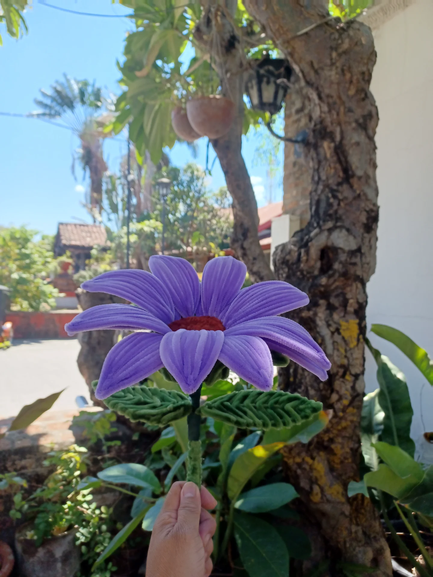 inbound3880541809600892564