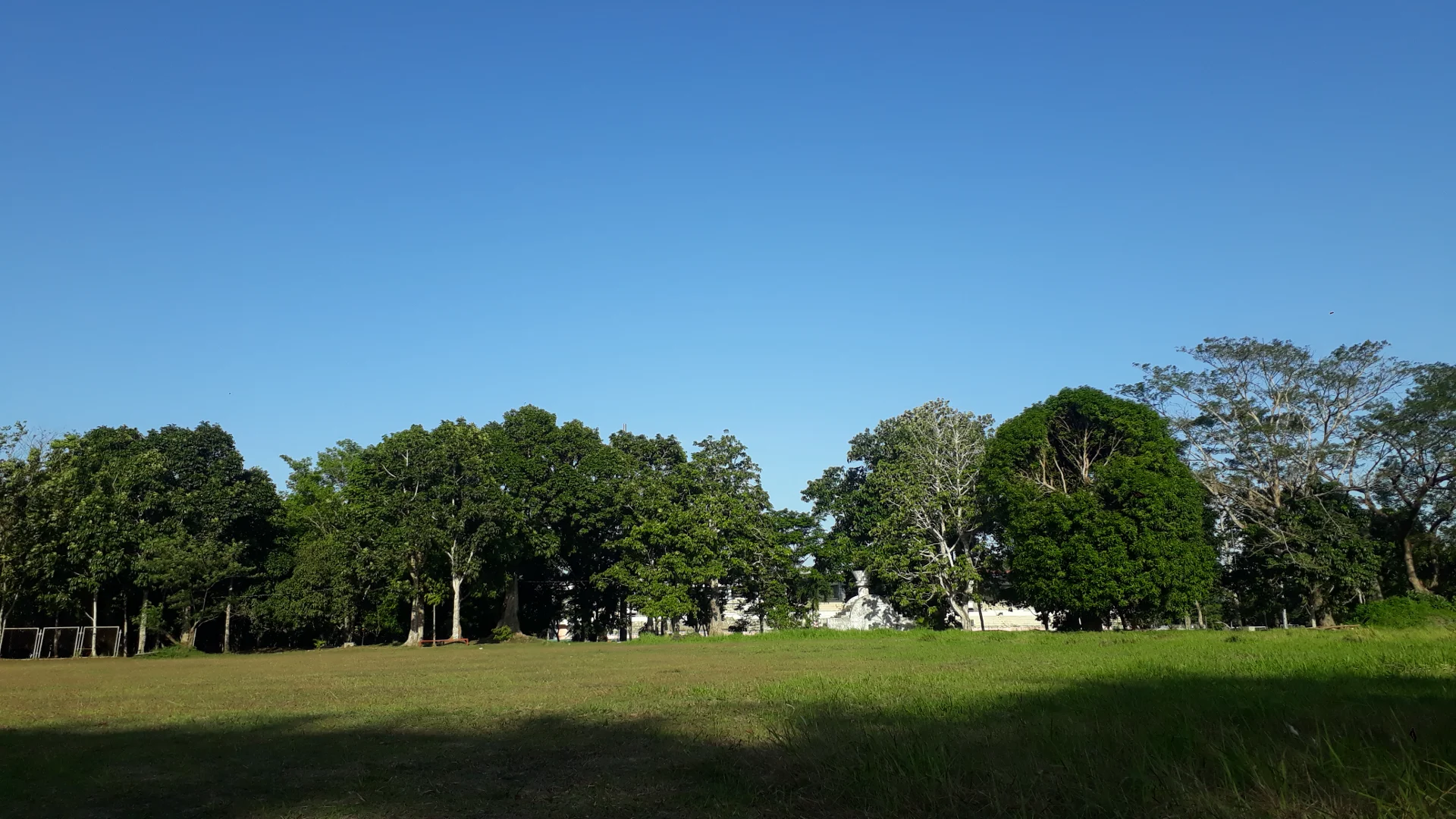 inbound8578937151055270300