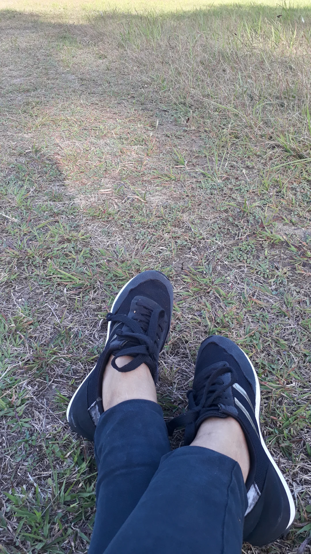 inbound5660564331454803335