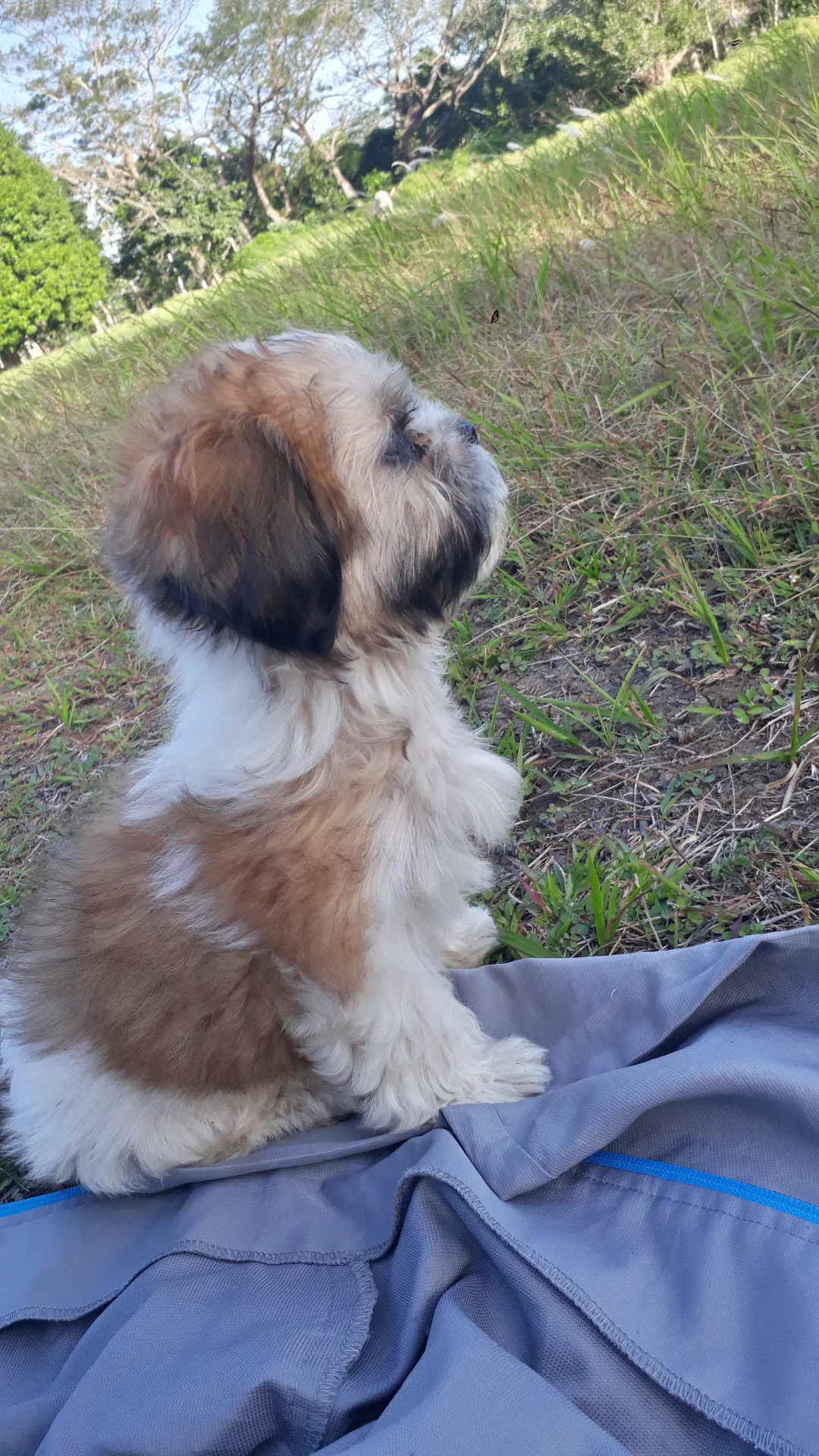 inbound3677567820345905804