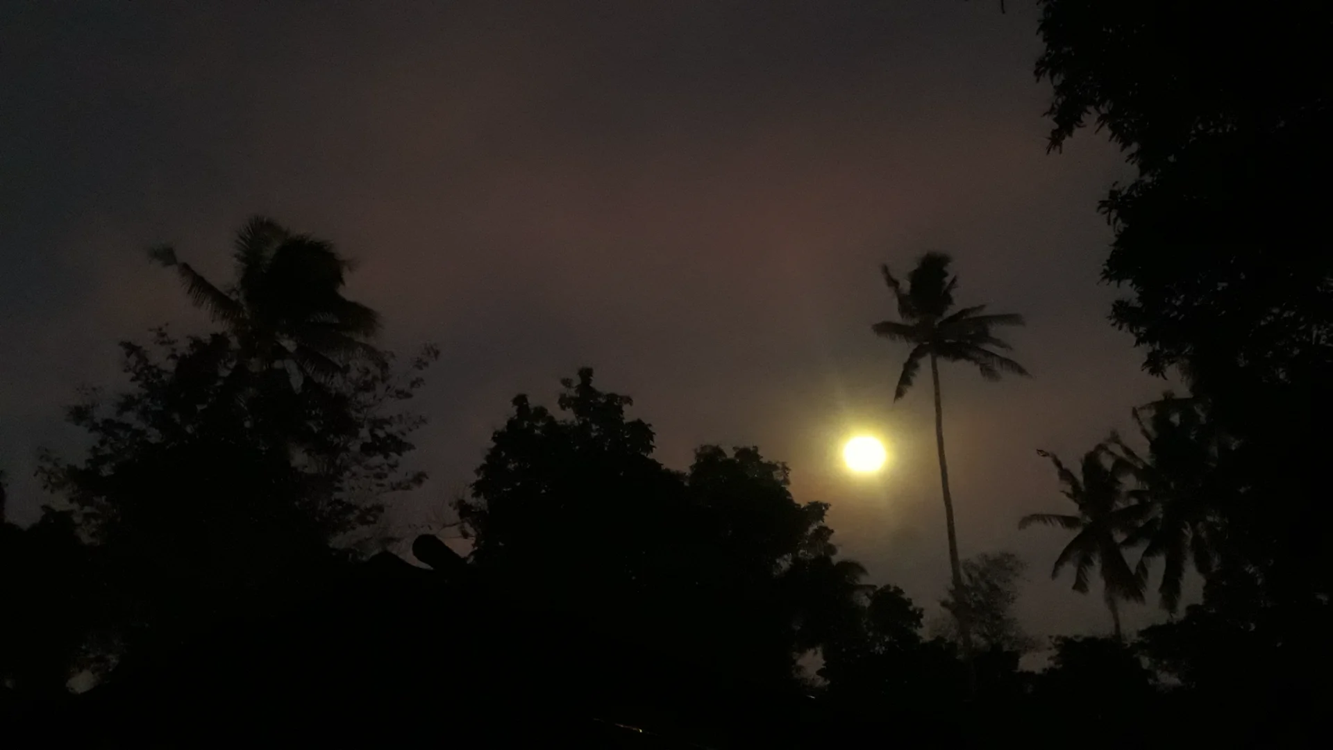 Dawn and Sunrise by: Zzari Merenciano