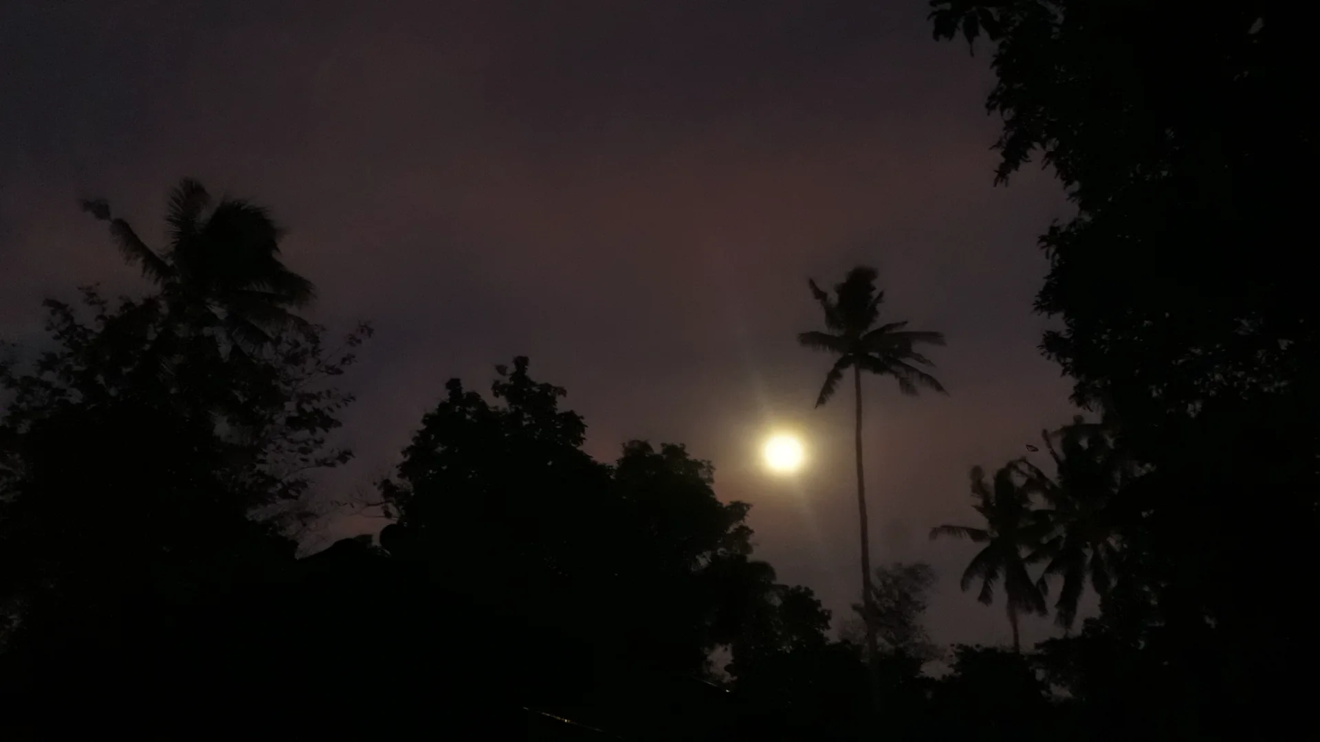 Dawn and Sunrise by: Zzari Merenciano