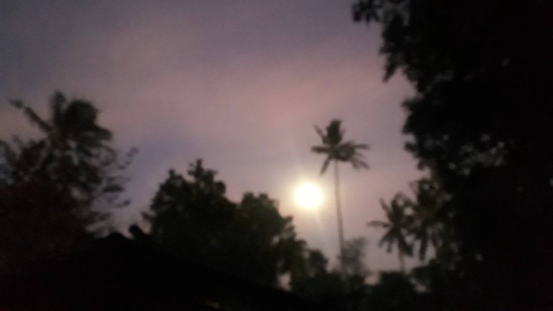 Dawn and Sunrise by: Zzari Merenciano