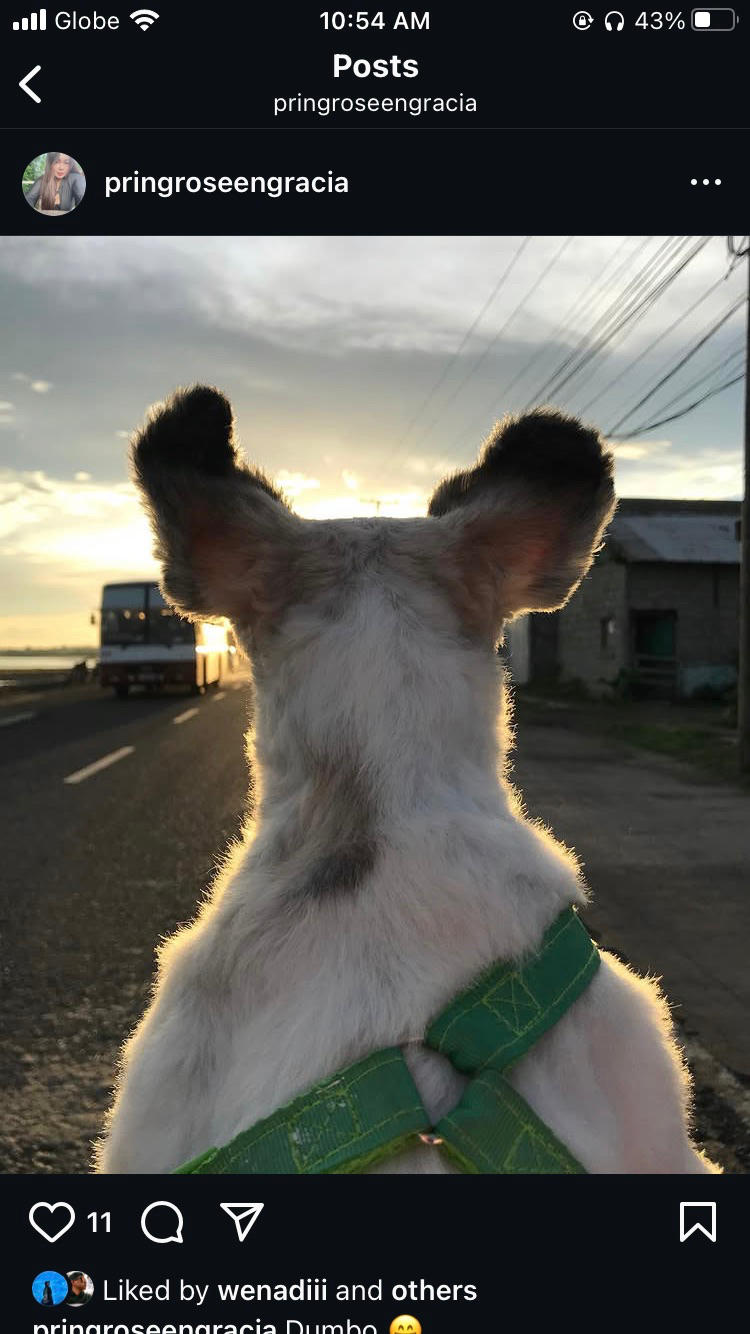 6F510704-1547-43CE-A6E7-1D803581512C