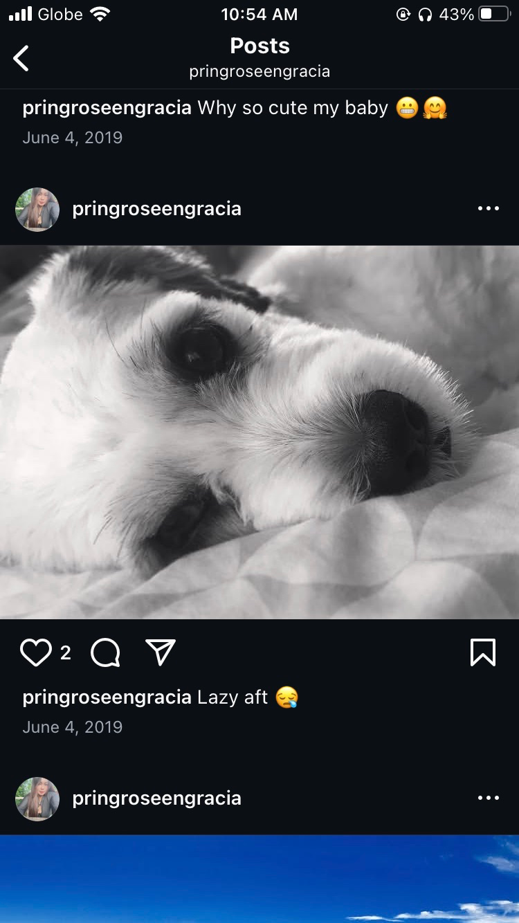 F7A6CC3A-01E8-41DE-89F5-C54C34D75F3F