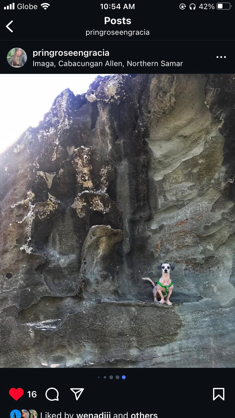 A346F635-DFF8-42AC-A0B2-AA0A35A924C5