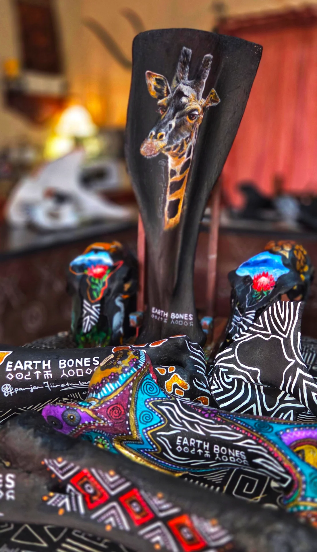 inbound2146532829528520565