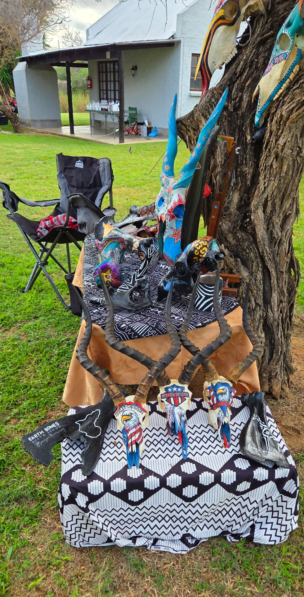 Earth Bones portfolio work