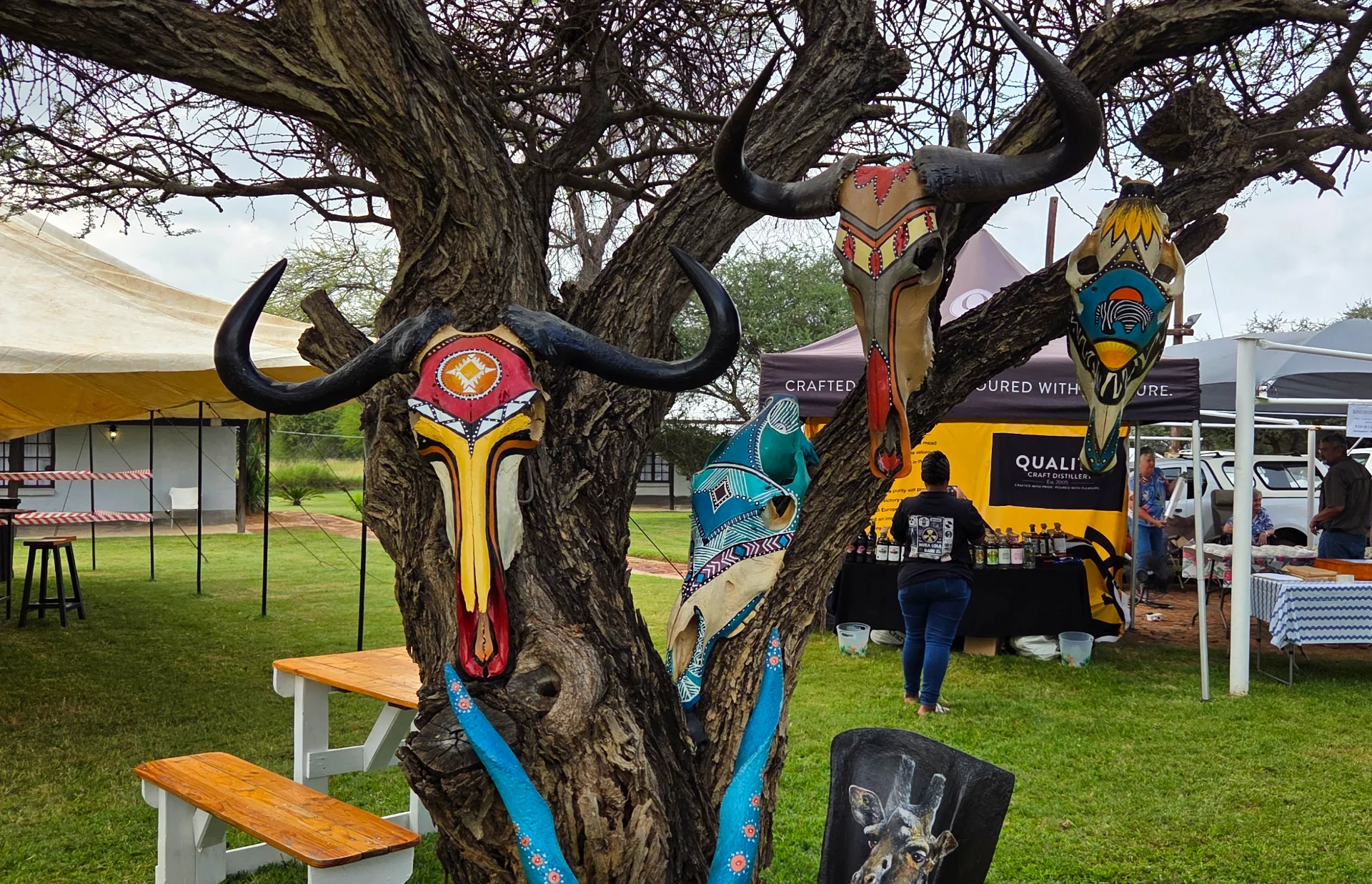 Earth Bones portfolio work