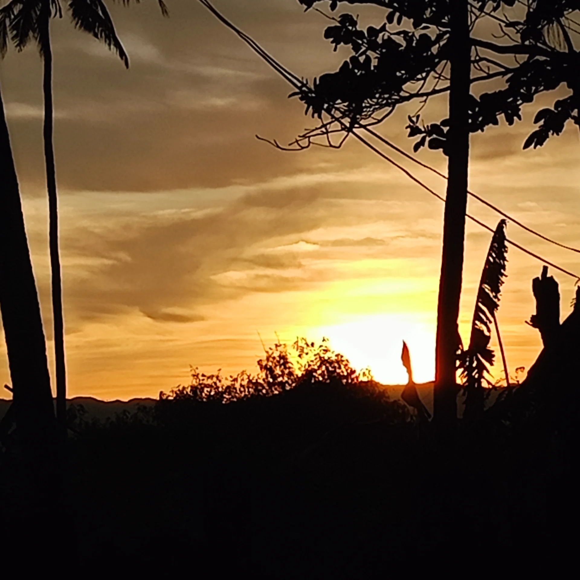 inbound6065476105632932671