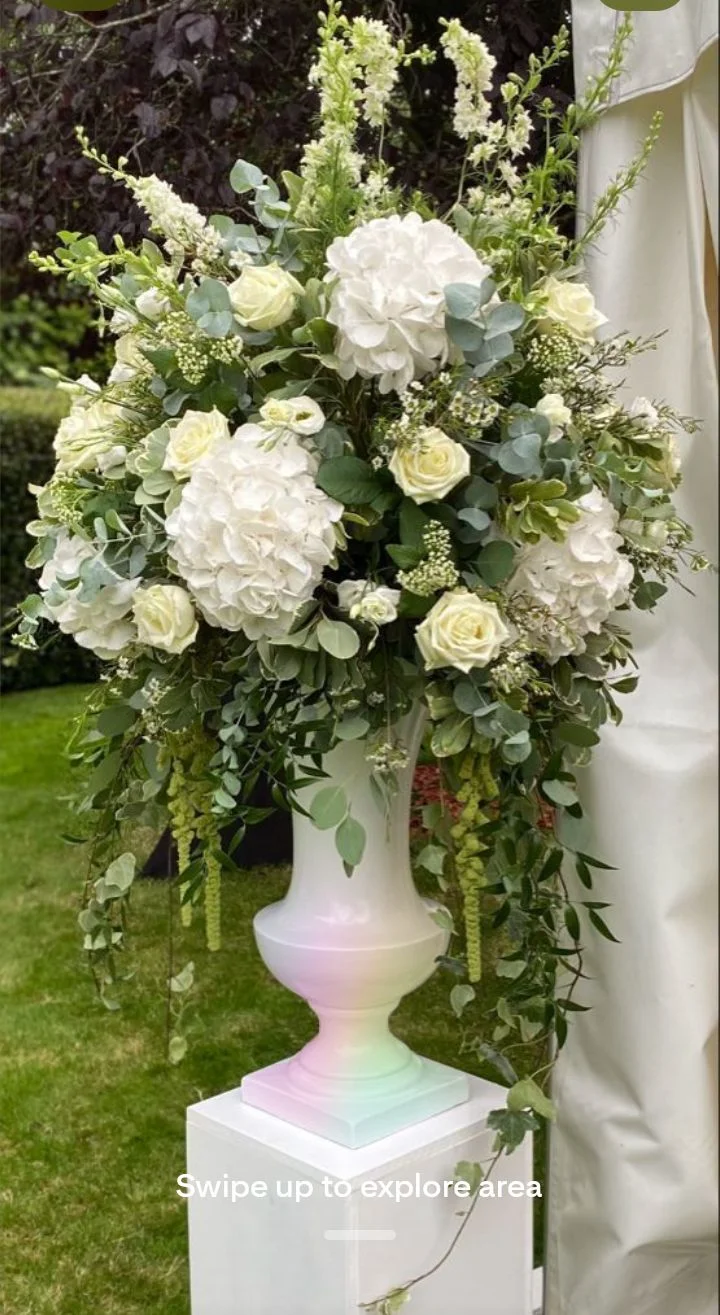 inbound5639804512321979834