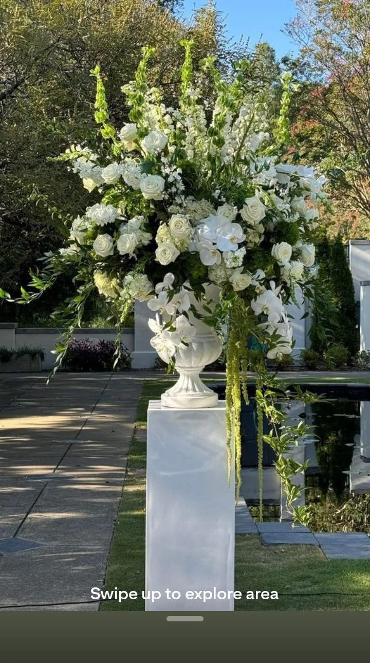 inbound8238925703301588566