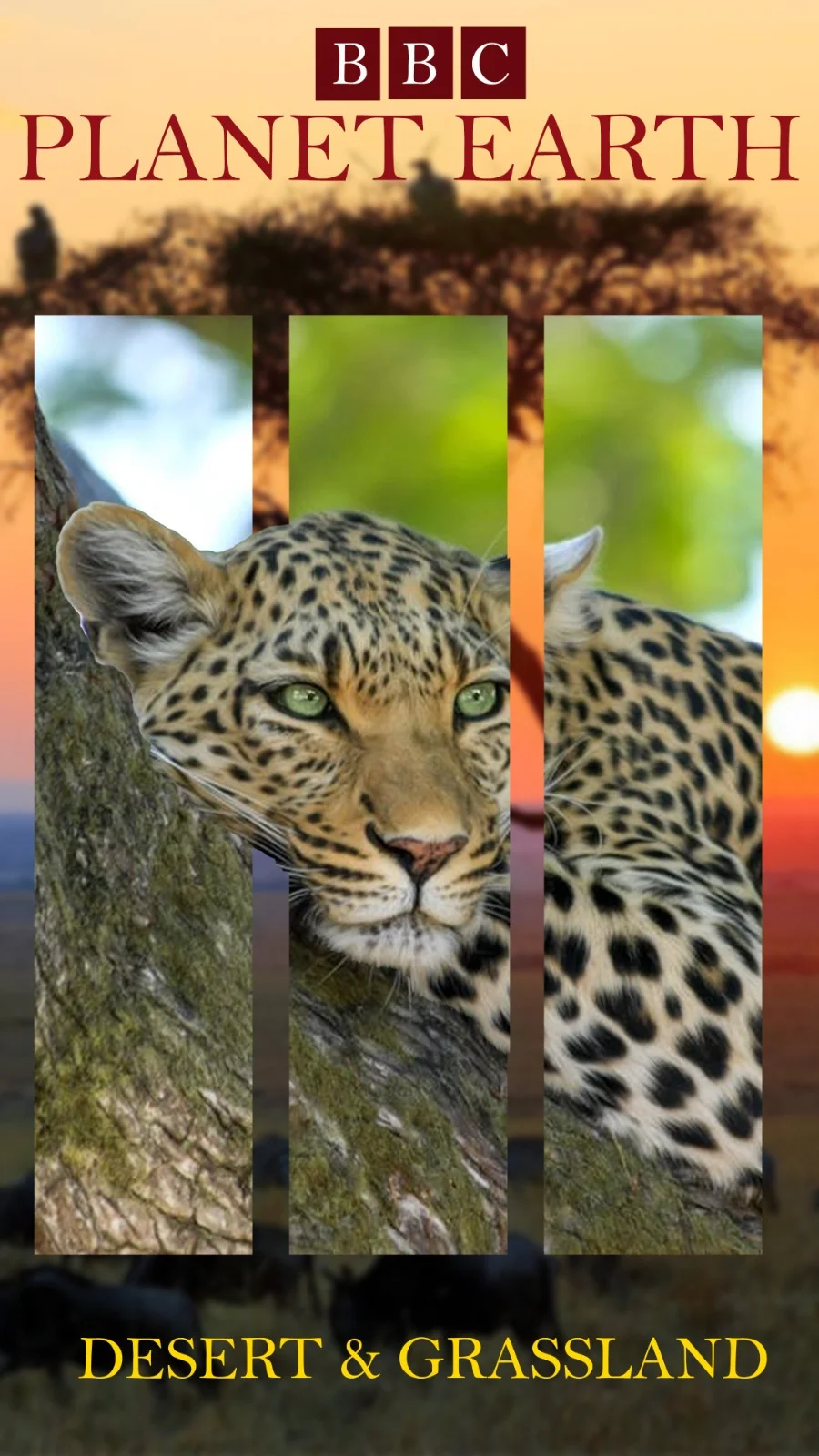 inbound6268829483208562898