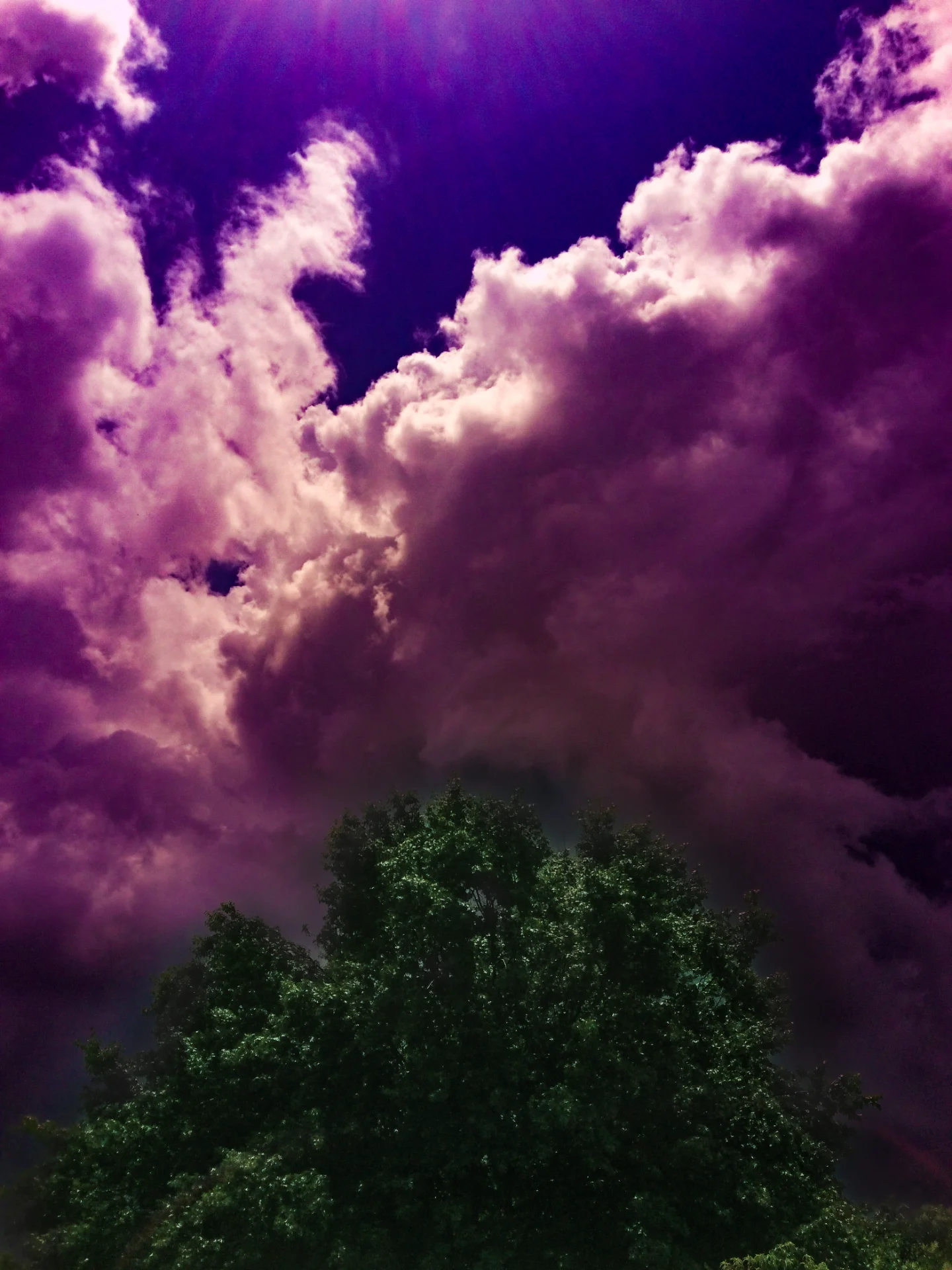 inbound3862658752641564995