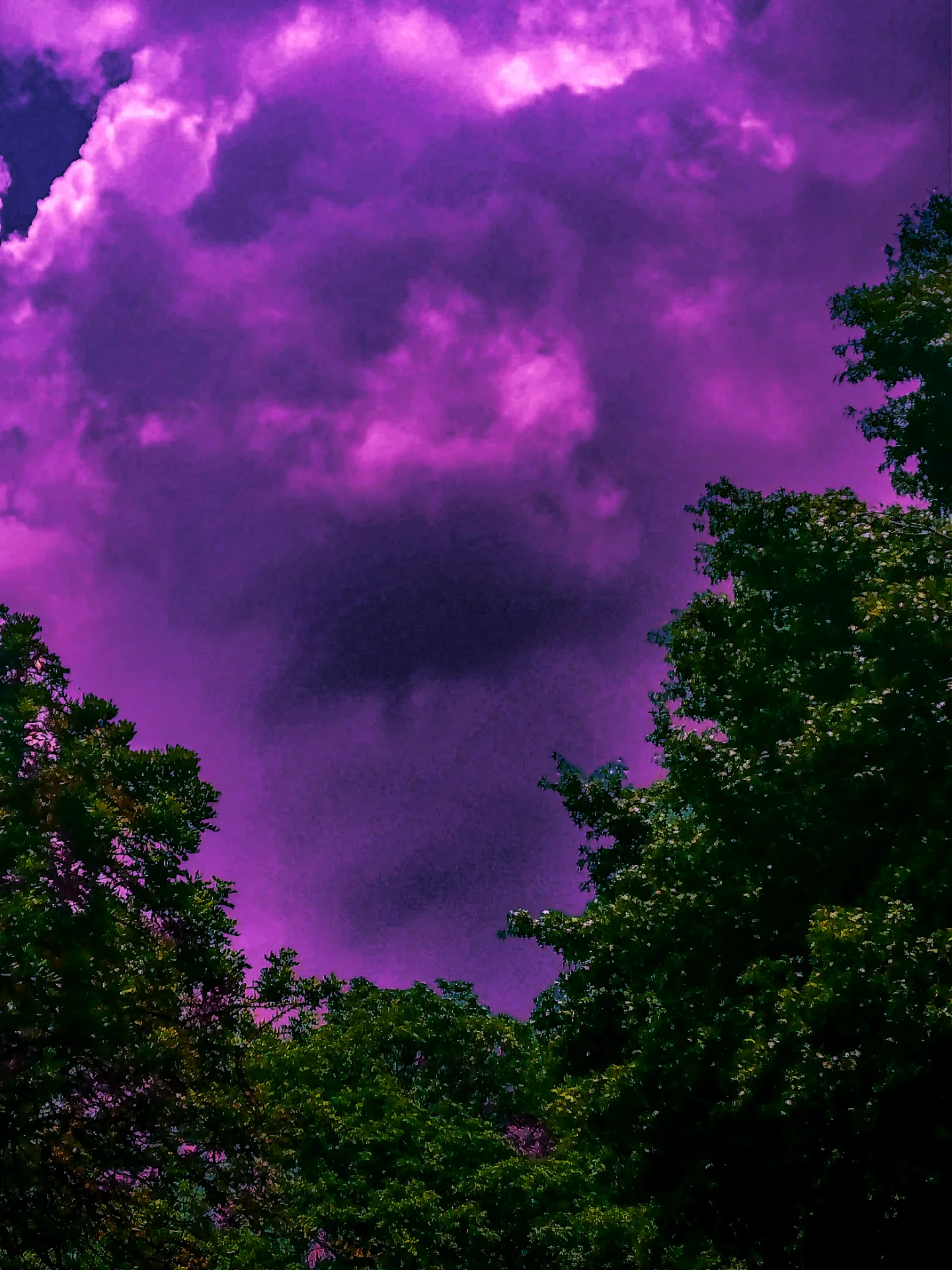 inbound2594697789861565519