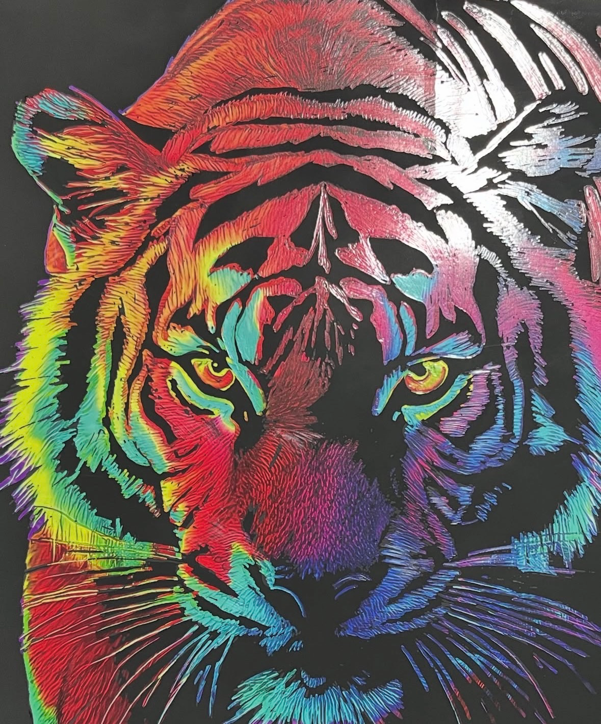 Saumya Sinha  portfolio work