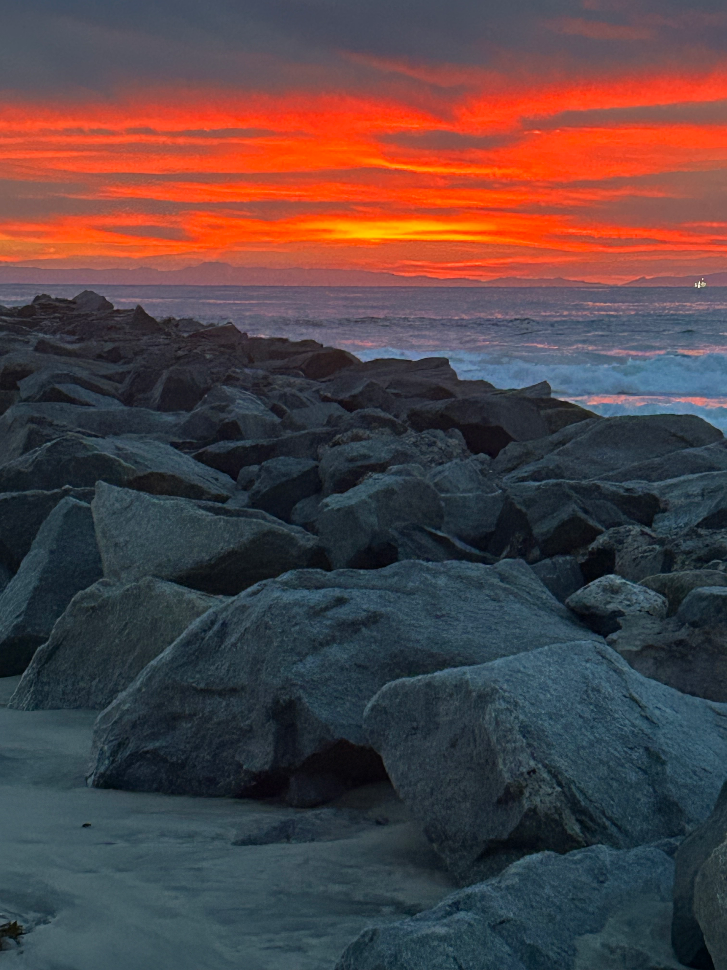 elisamell639 profile photo