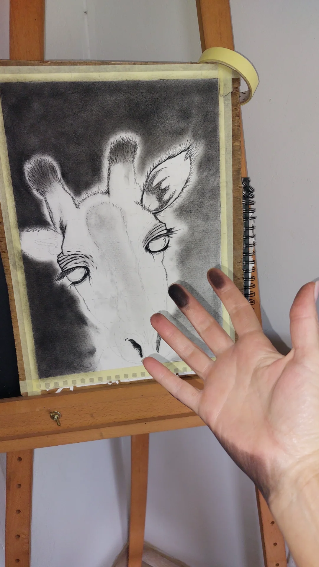 inbound1798432119690520634