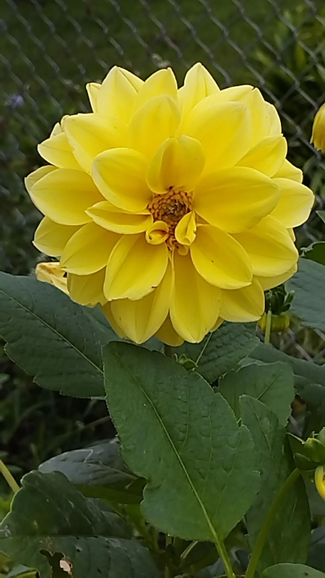 inbound6995193583737960811