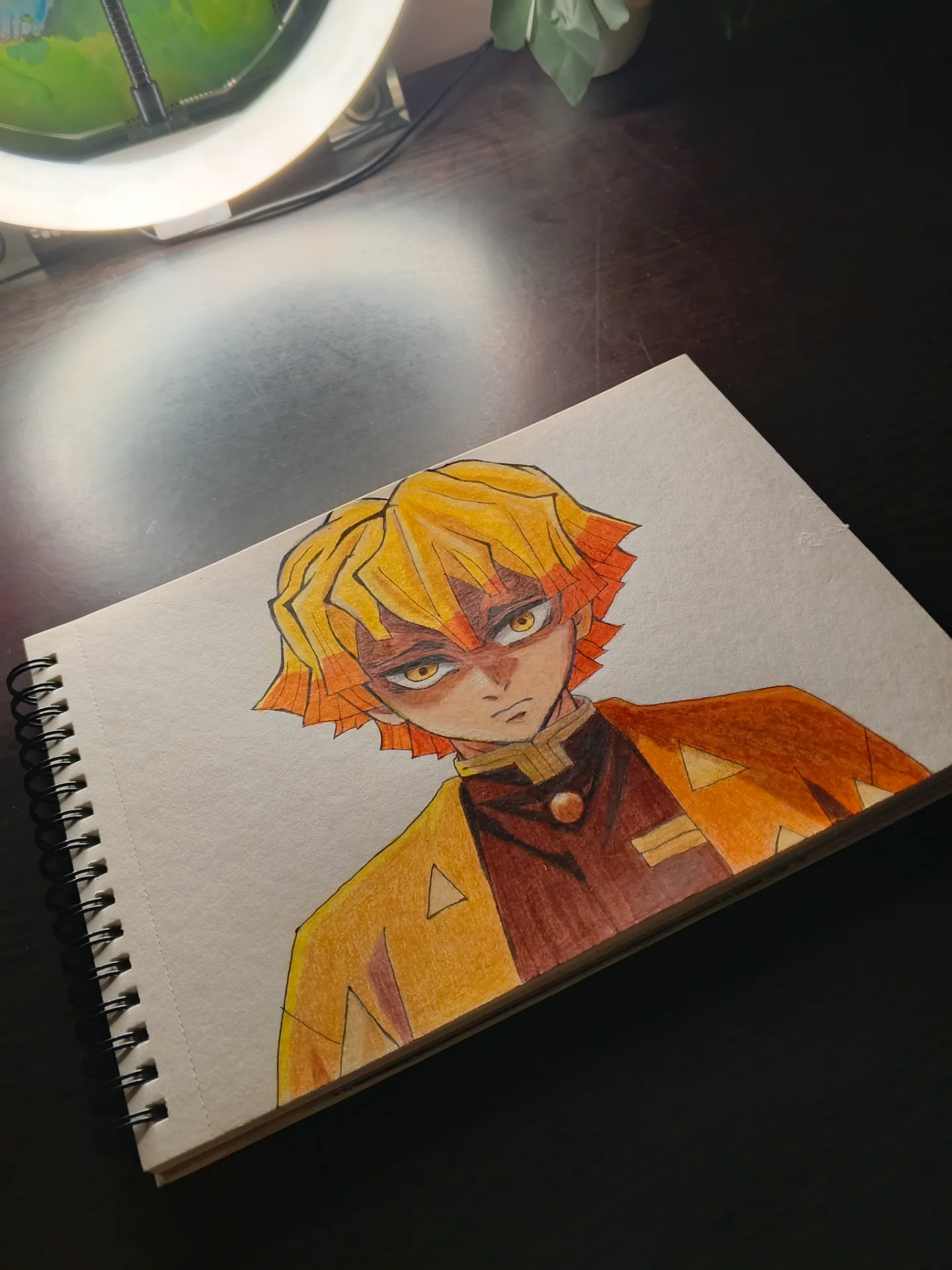 inbound4810293112681702079