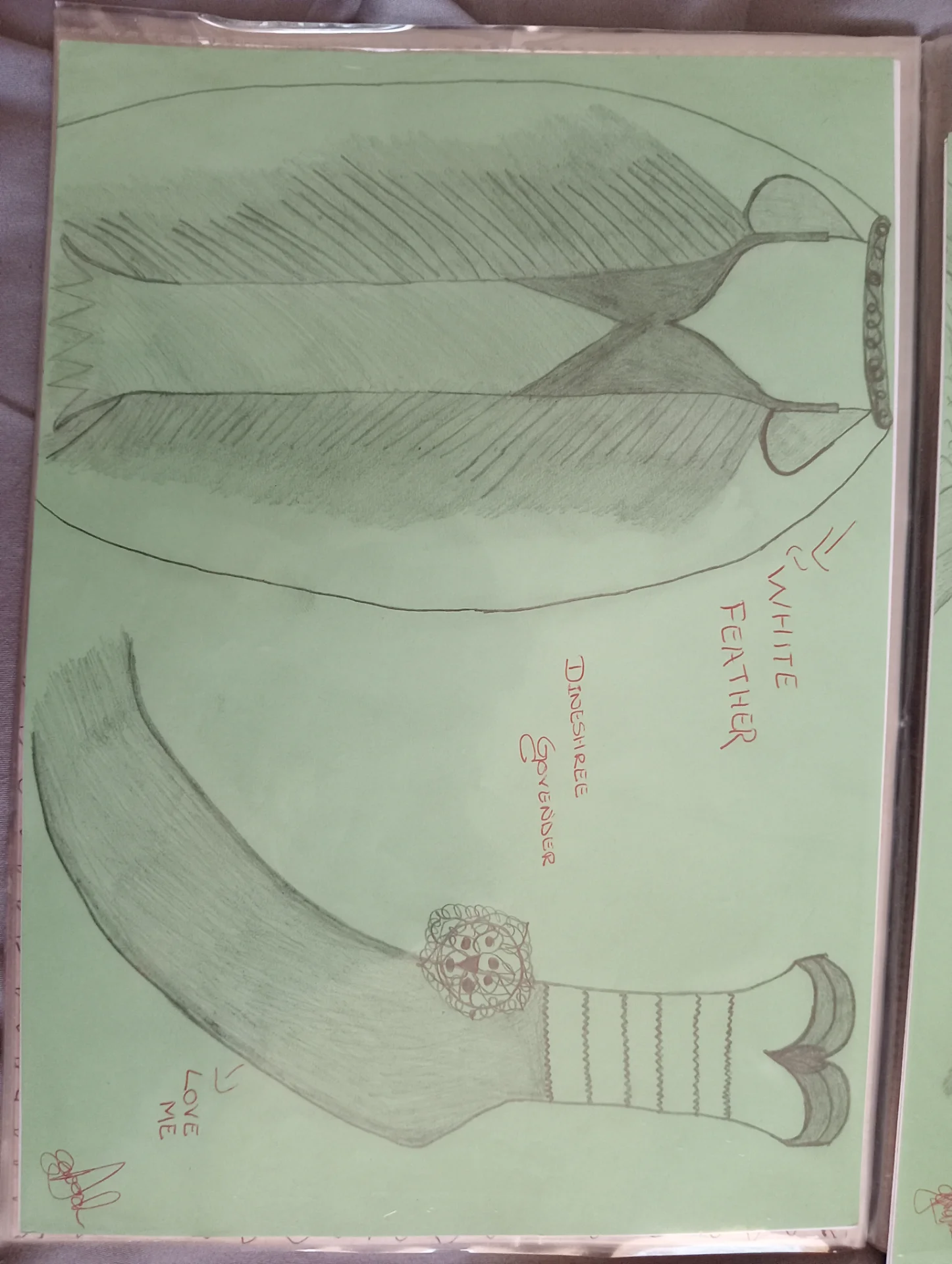 govenderdees76 portfolio work