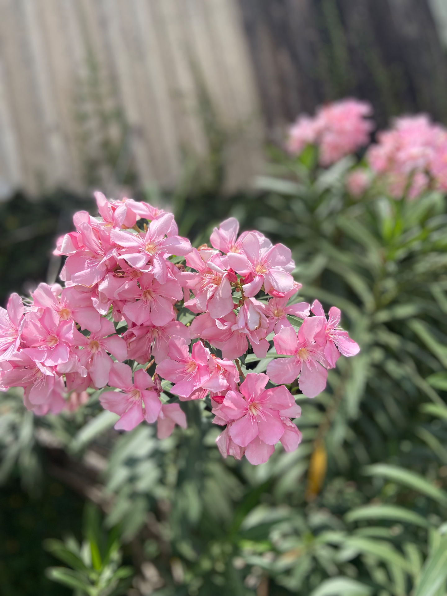 18F7E32F-2AA0-4603-A694-26EDAFC9A6A4