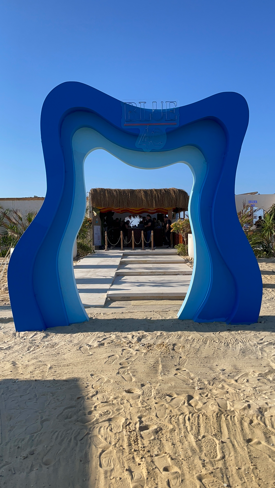 mou.moneim portfolio work