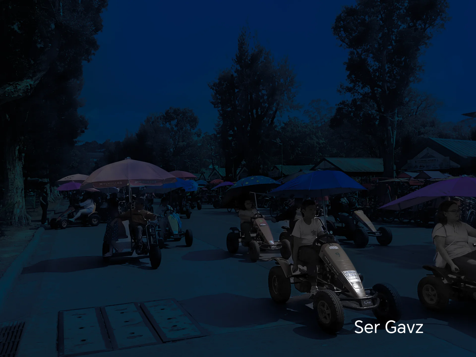 Ser Gavz portfolio work