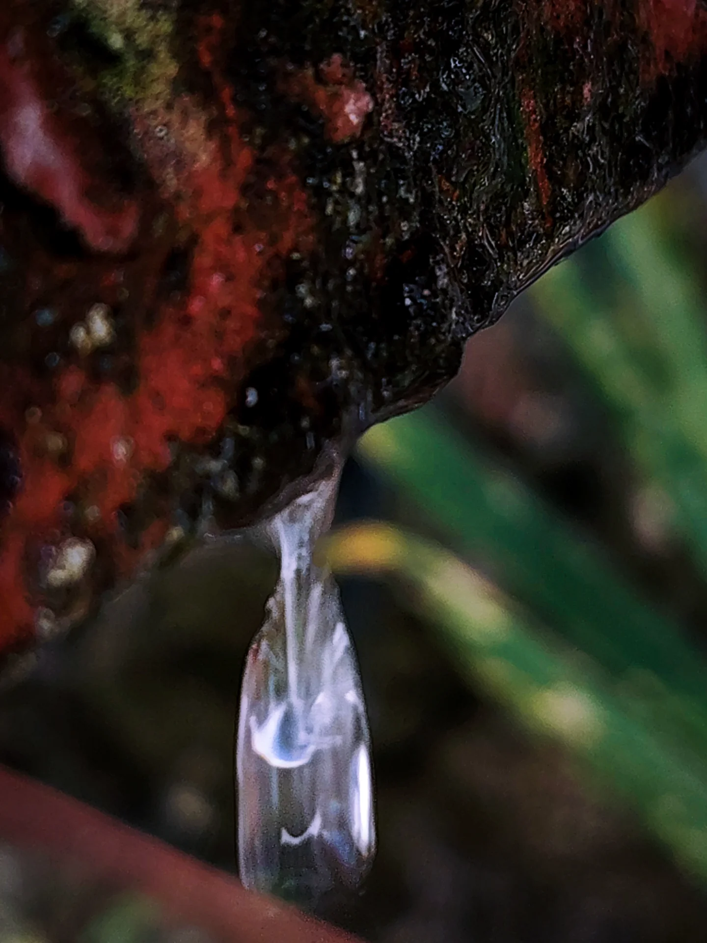 Ser Gavz portfolio work