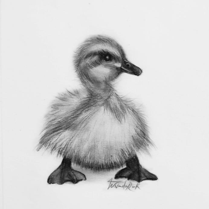 sreeragvrinda portfolio work