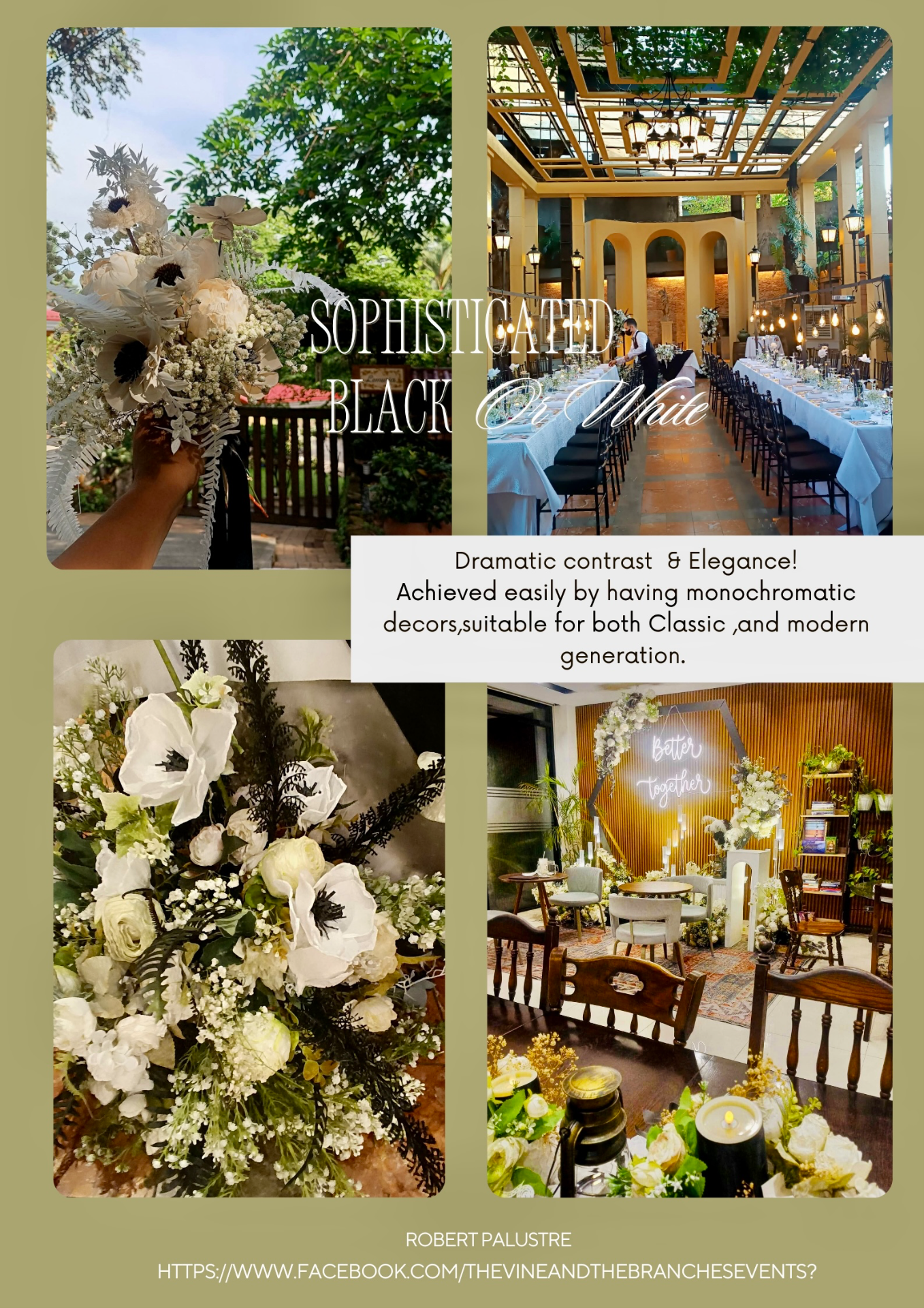 palustrerobert portfolio work