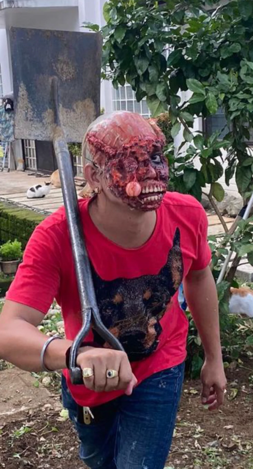 inbound63215185975268956