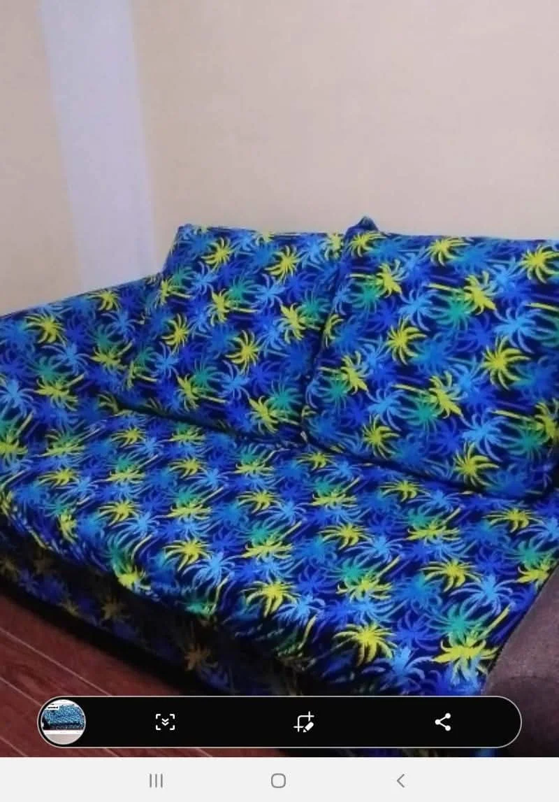 inbound3395336228176541106