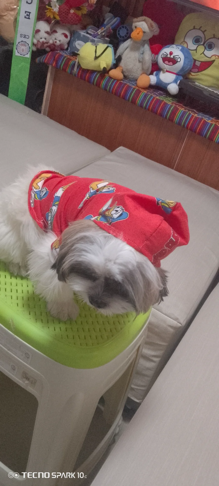 inbound582256271958897551