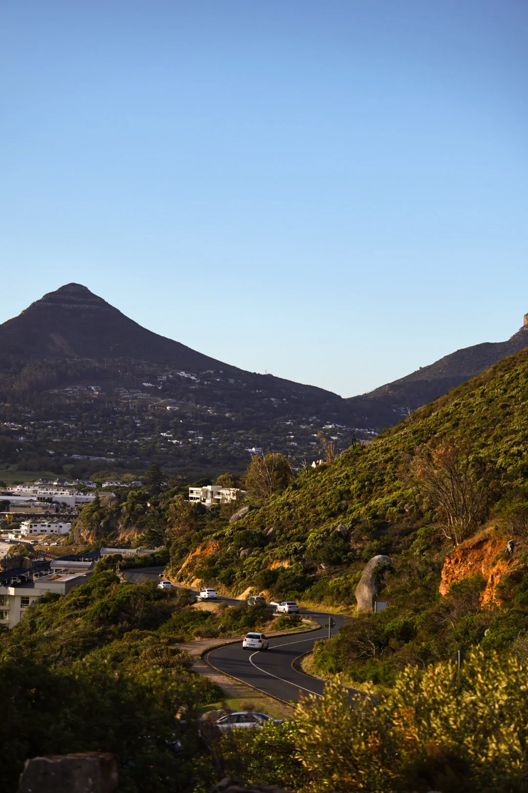 inbound9088218786178826558