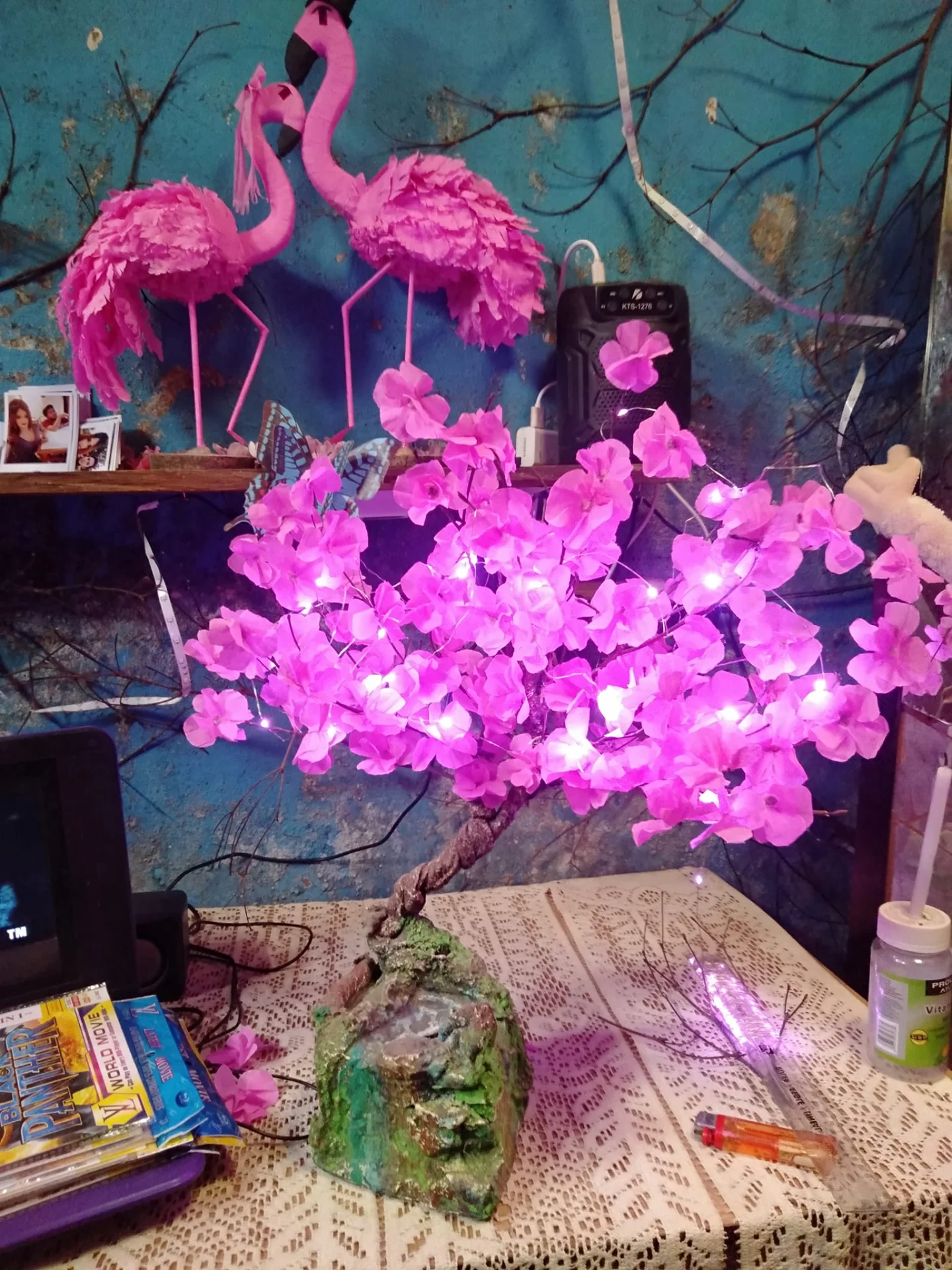 475046500_1122152912748015_880513477733204820_n