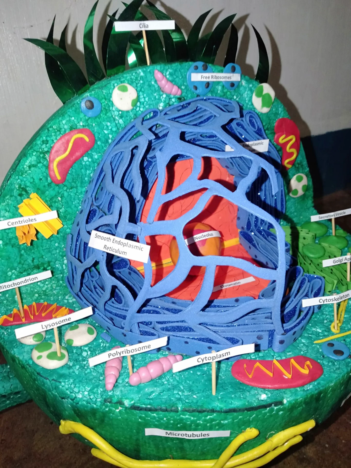 475195968_1122154009414572_2811701089870675086_n