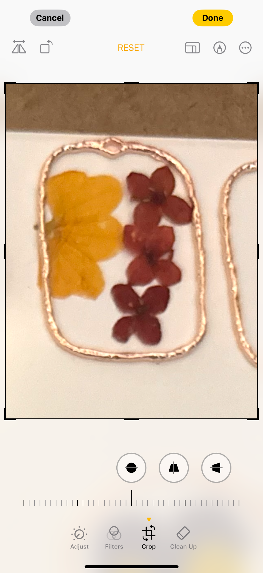 Debby portfolio work