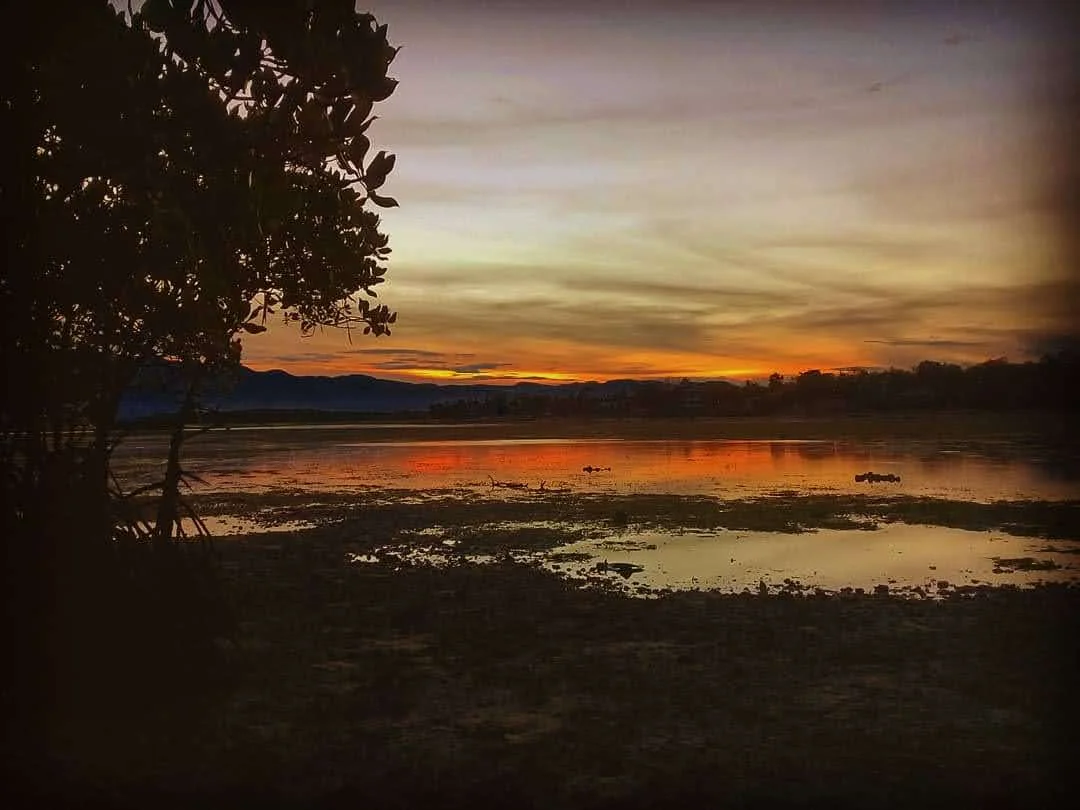 inbound8324038638049761851