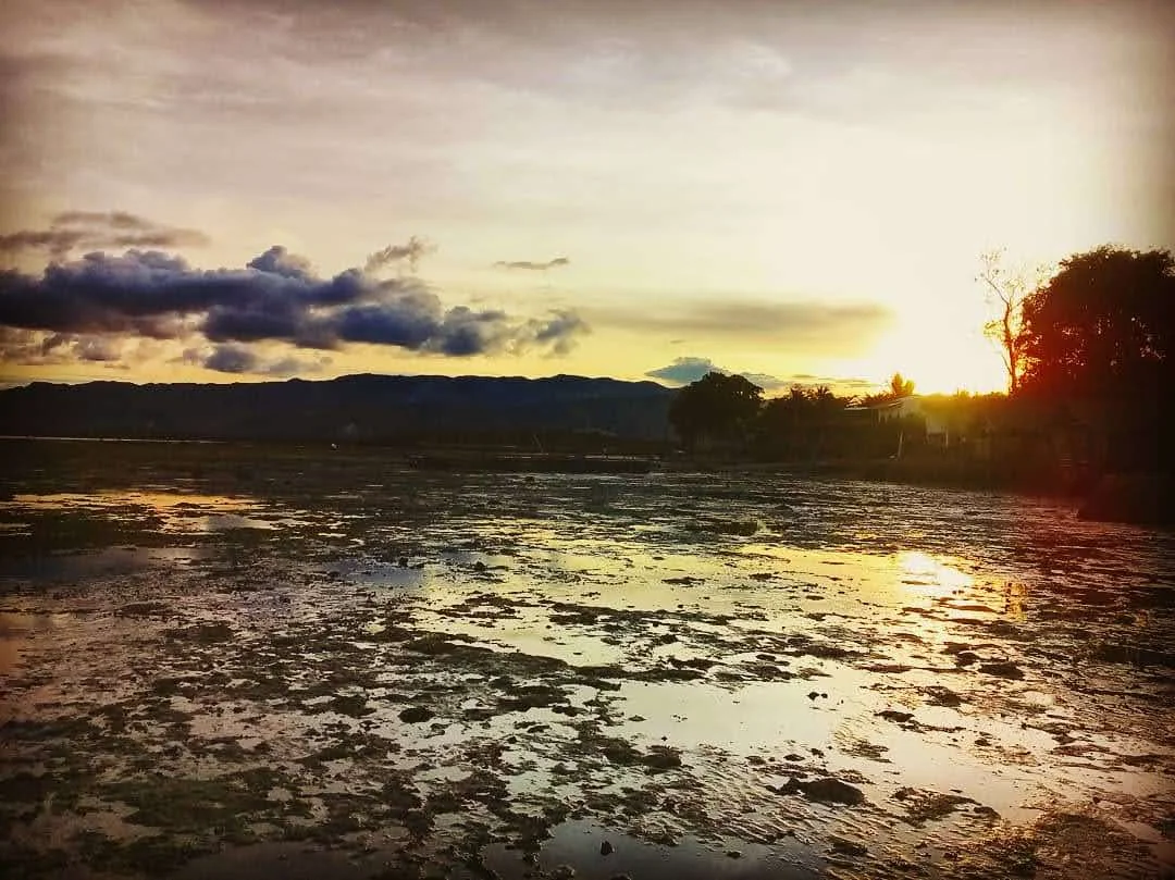 inbound7012220741680372808