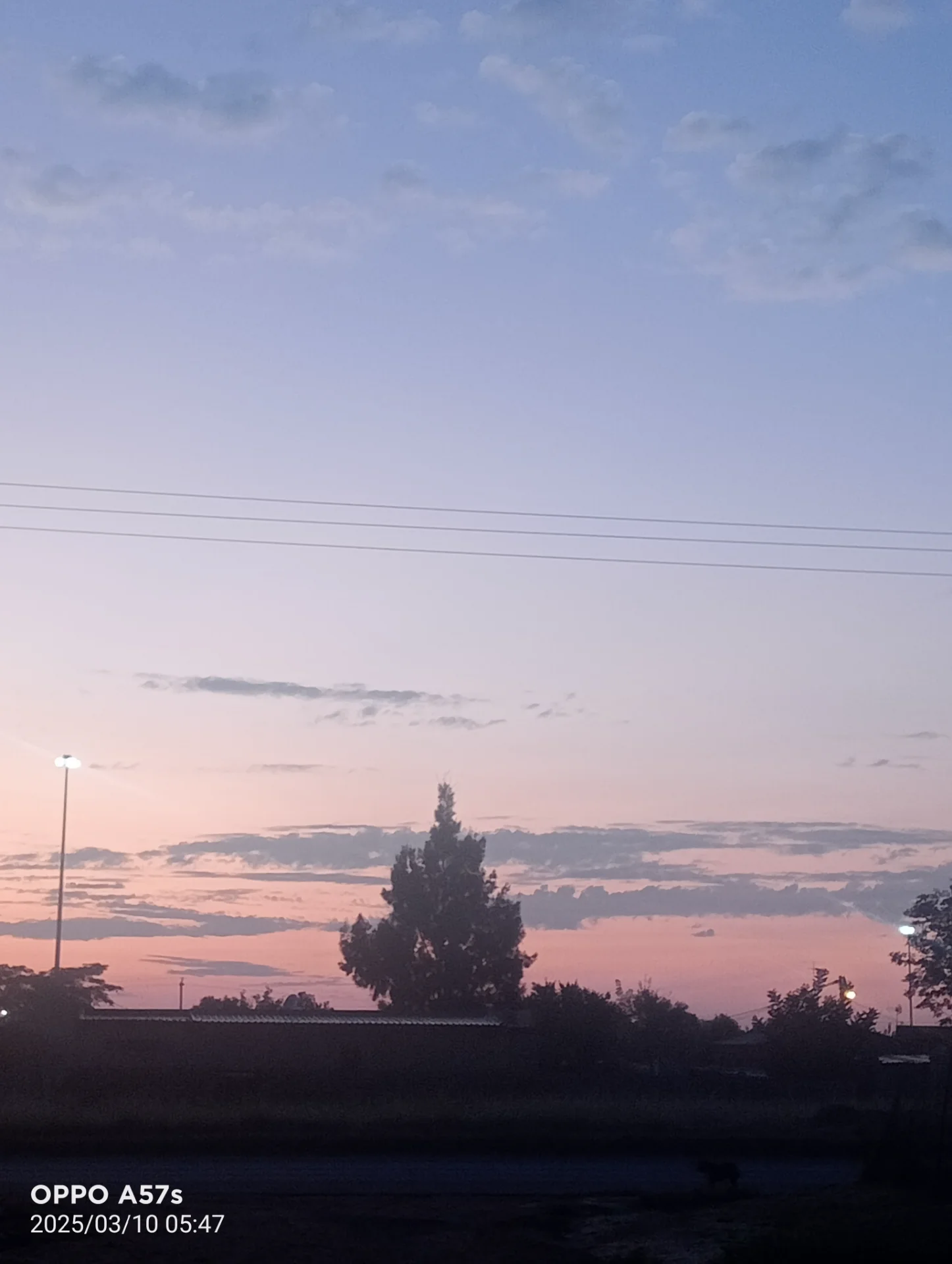 clicktsd portfolio work