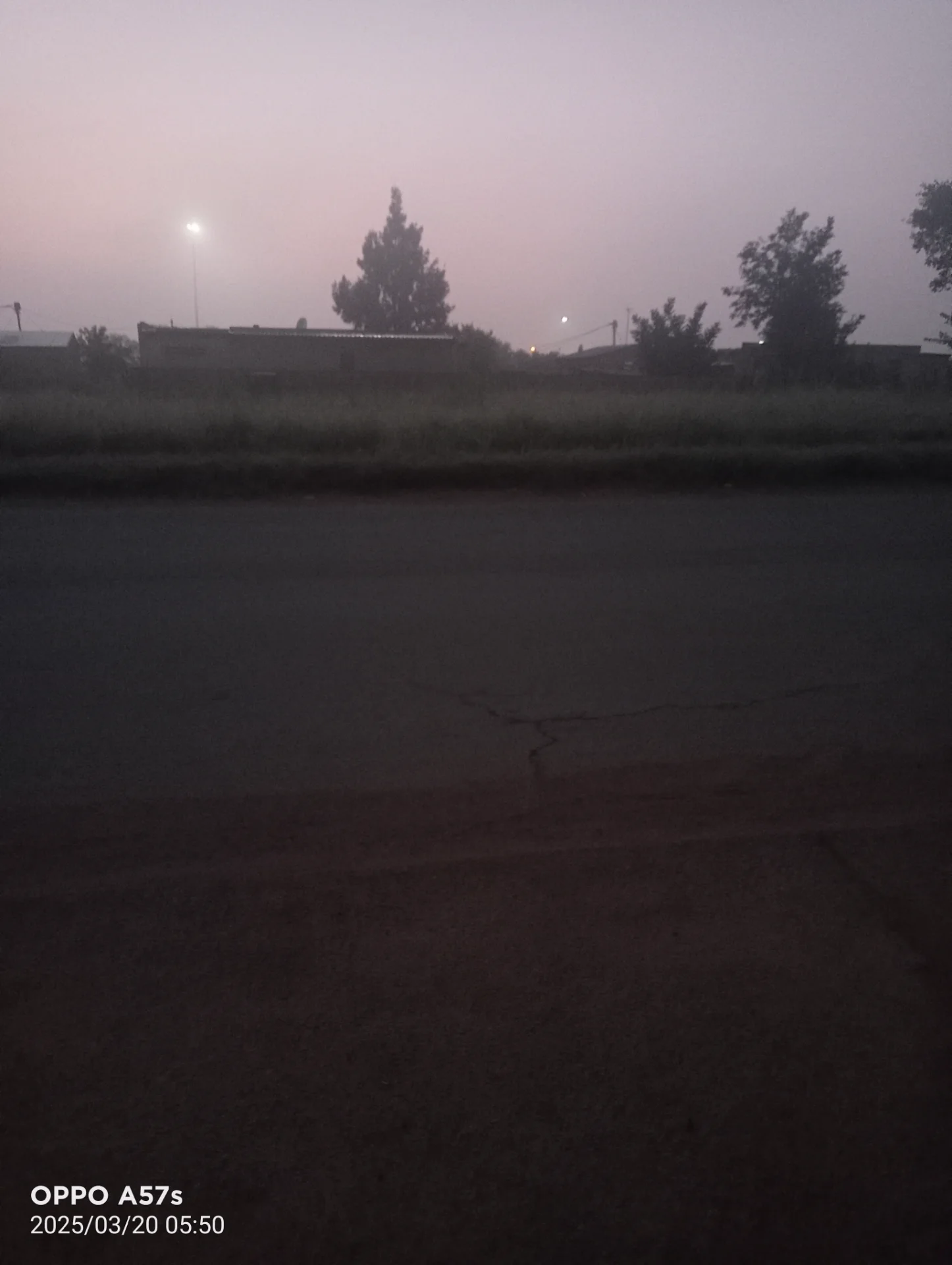 clicktsd portfolio work