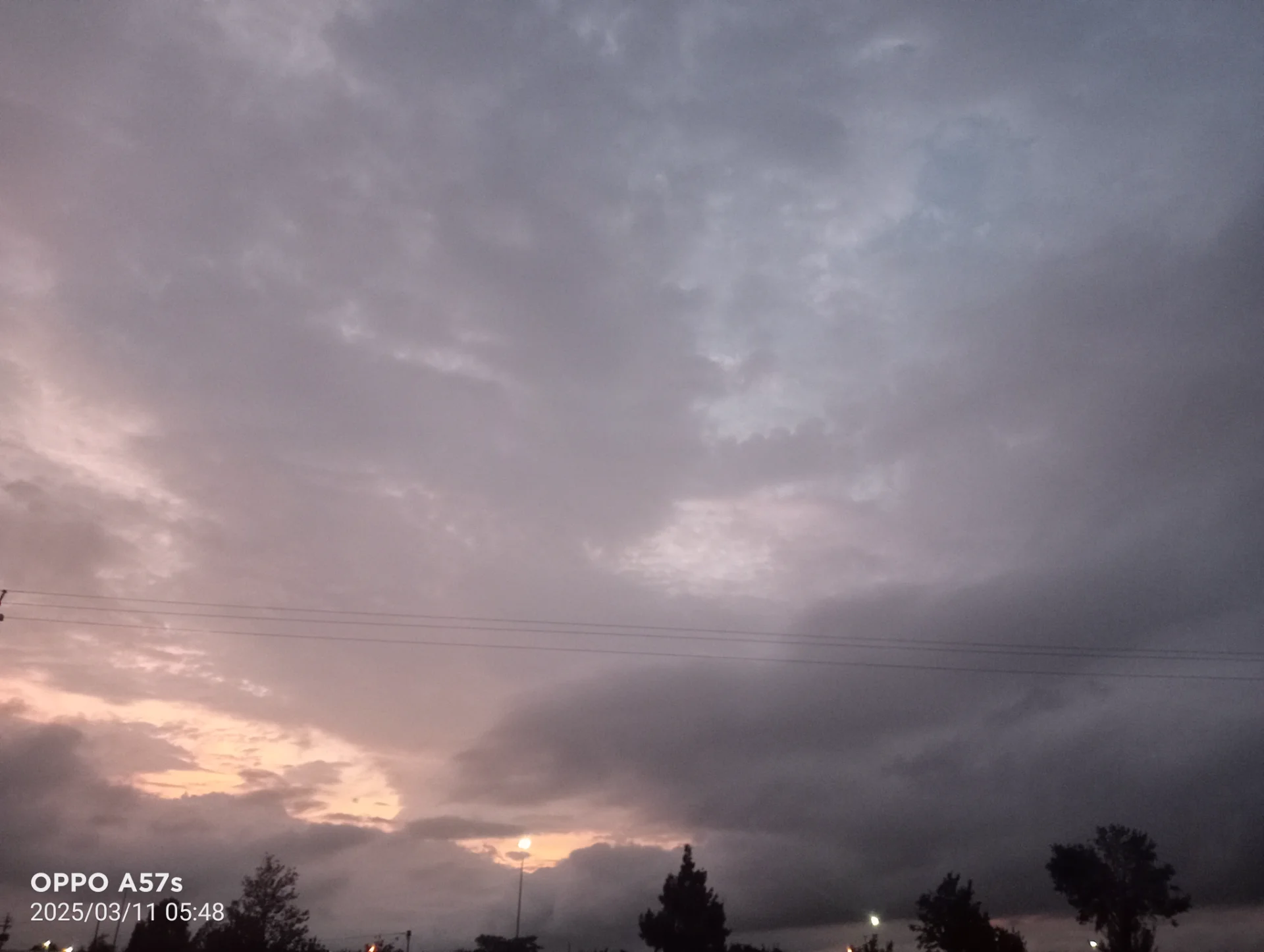 clicktsd portfolio work