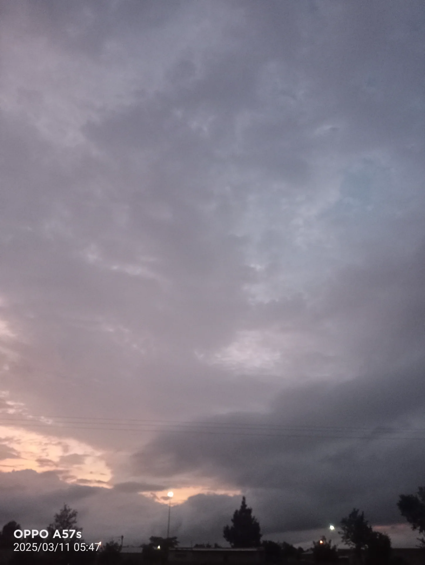 clicktsd portfolio work