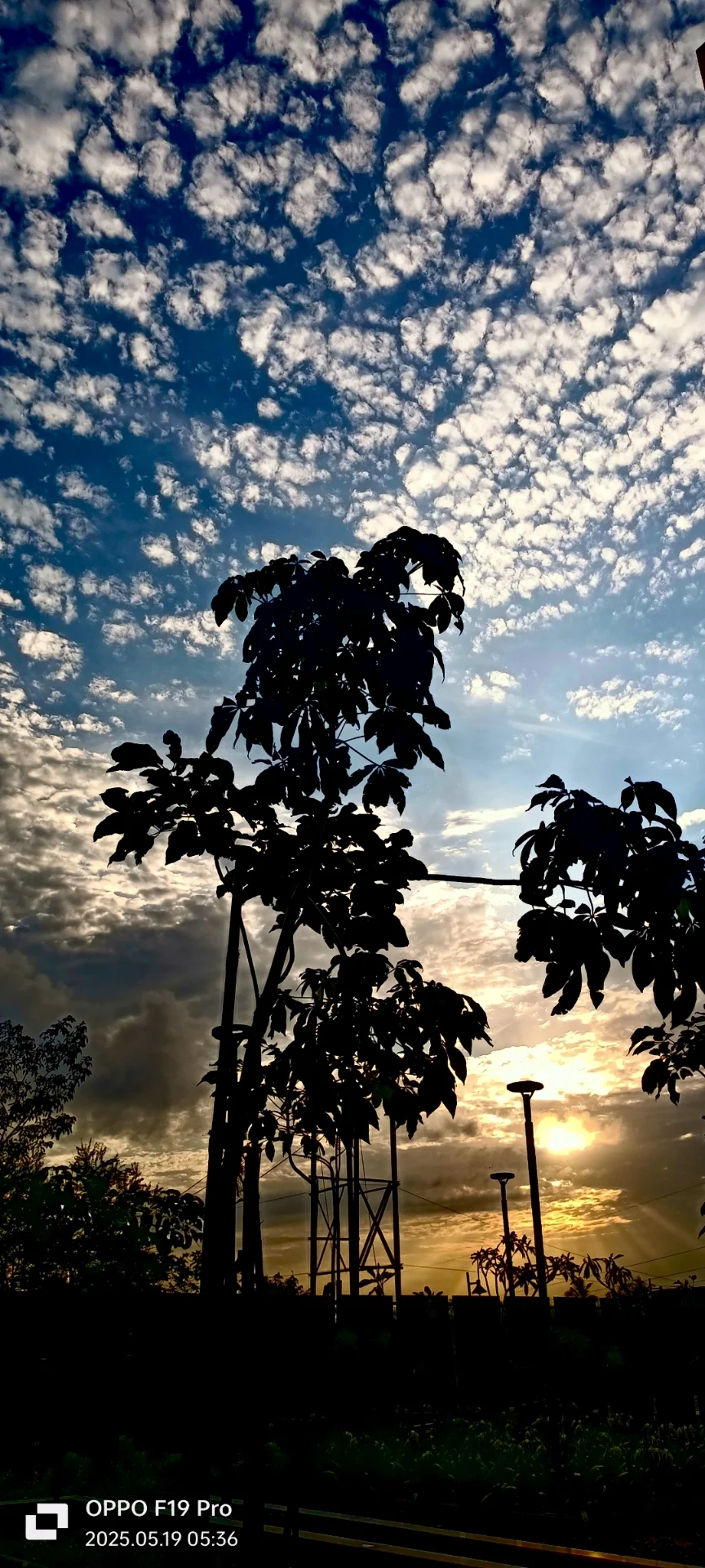 inbound8943943821174302671