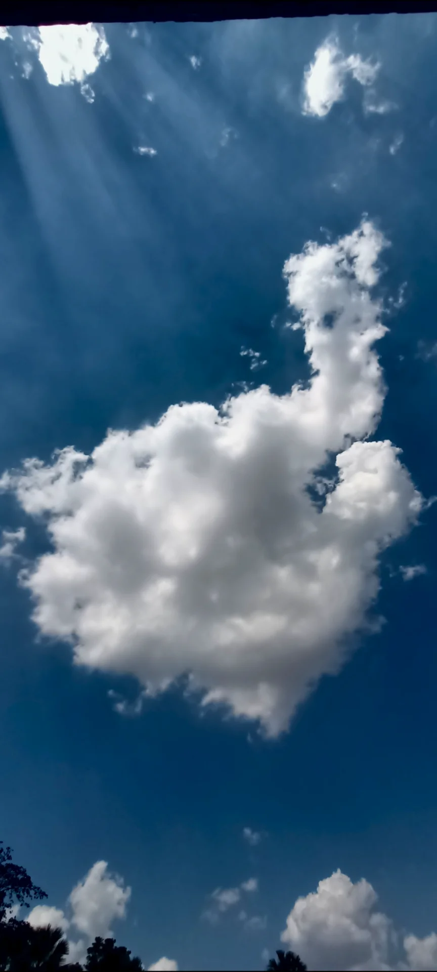 Debasish Bose  portfolio work